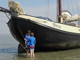Lemsteraak Bries droog gevallen