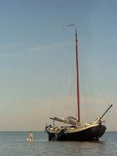 Lemsteraak Bries droog gevallen