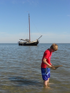 Lemsteraak Bries droog gevallen