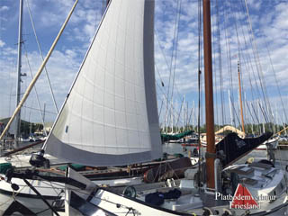 Lemsteraak Bries nieuw rolfok 2019