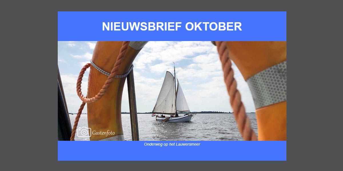 Newsbrief online lesen