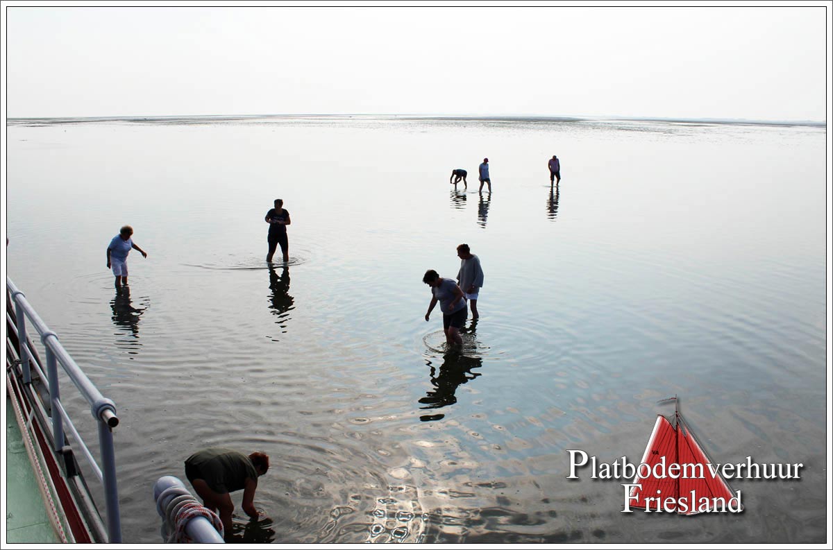 Stevenaak AALTJE ENGELINA droog gevallen op het wad
